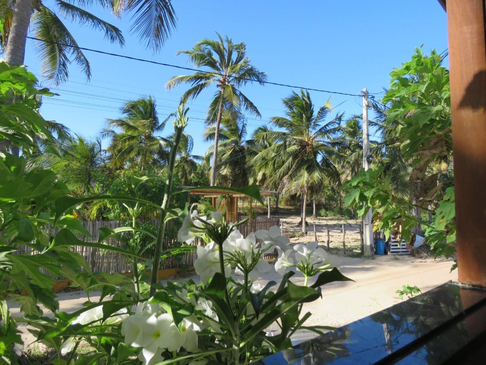 Villa Dos Coqueirais Icaraí Exteriér fotografie